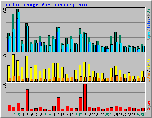 Daily usage for January 2010