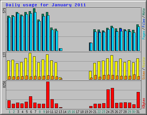 Daily usage for January 2011