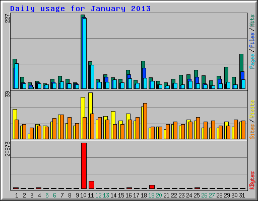 Daily usage for January 2013