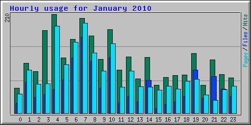 Hourly usage for January 2010