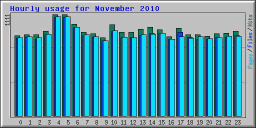 Hourly usage for November 2010