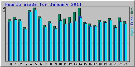 Hourly usage for January 2011