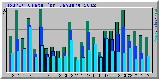 Hourly usage for January 2012